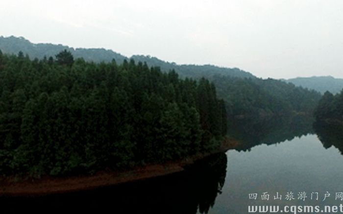 森林湖
