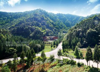 象鼻岭庄园全景