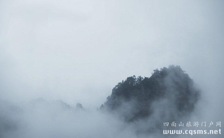 四面山丰富的植被 纯净的空气